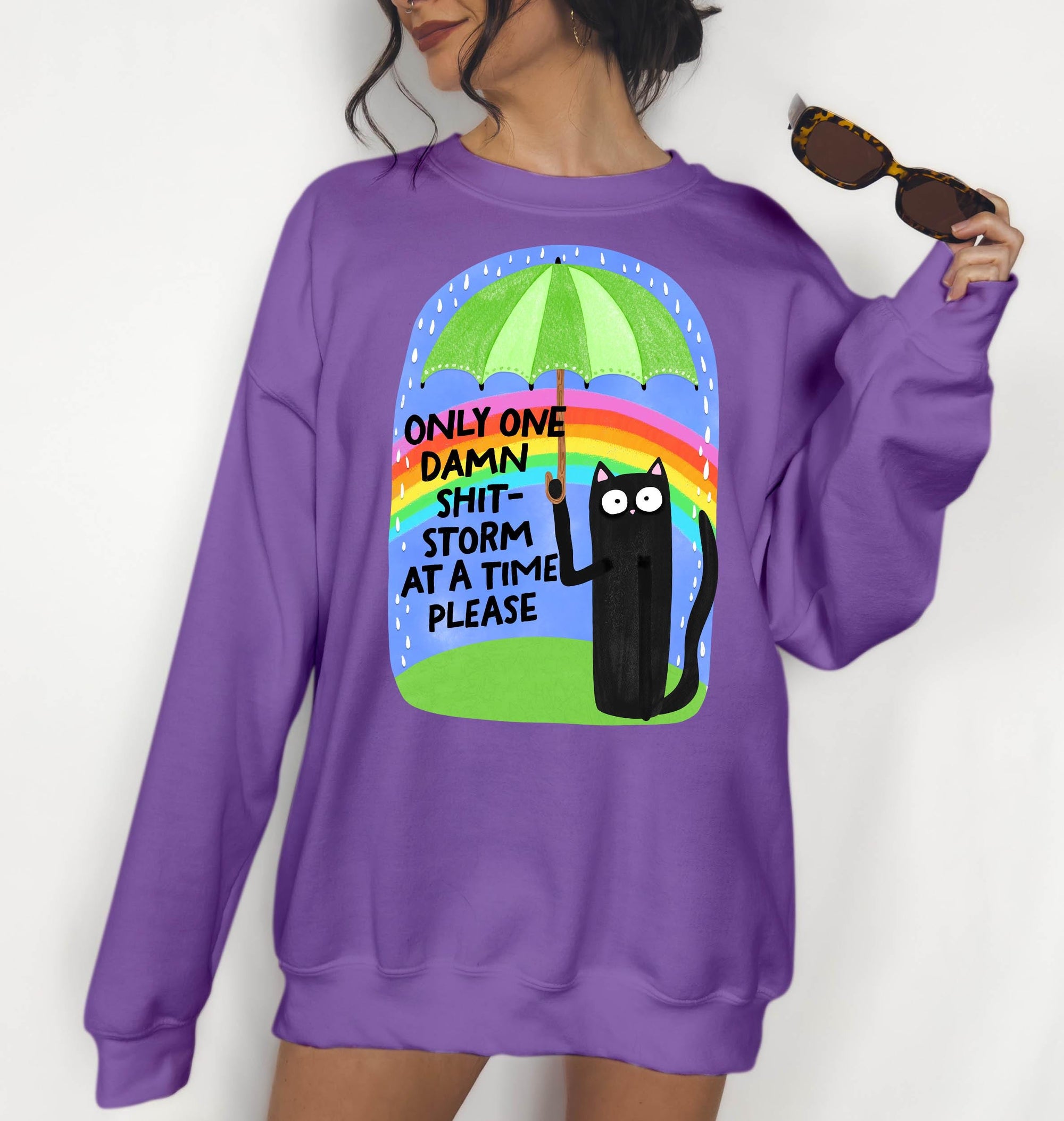 One Shit Storm at a Time Please - Crewneck Sweatshirt or Hoodie