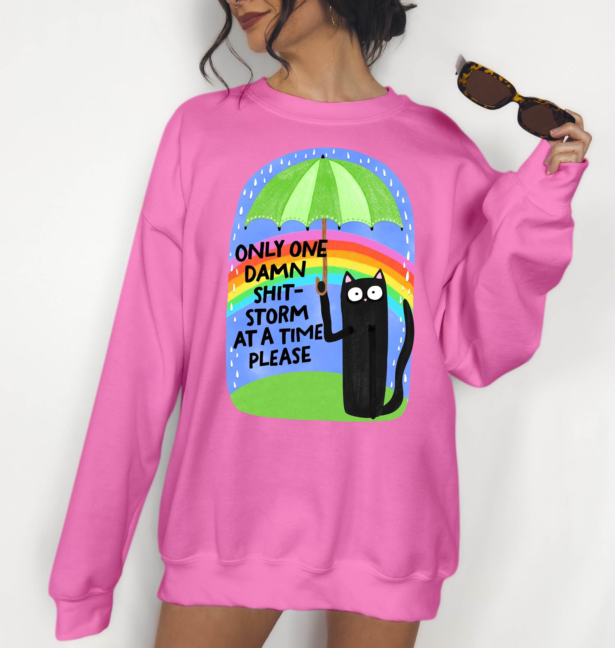 One Shit Storm at a Time Please - Crewneck Sweatshirt or Hoodie