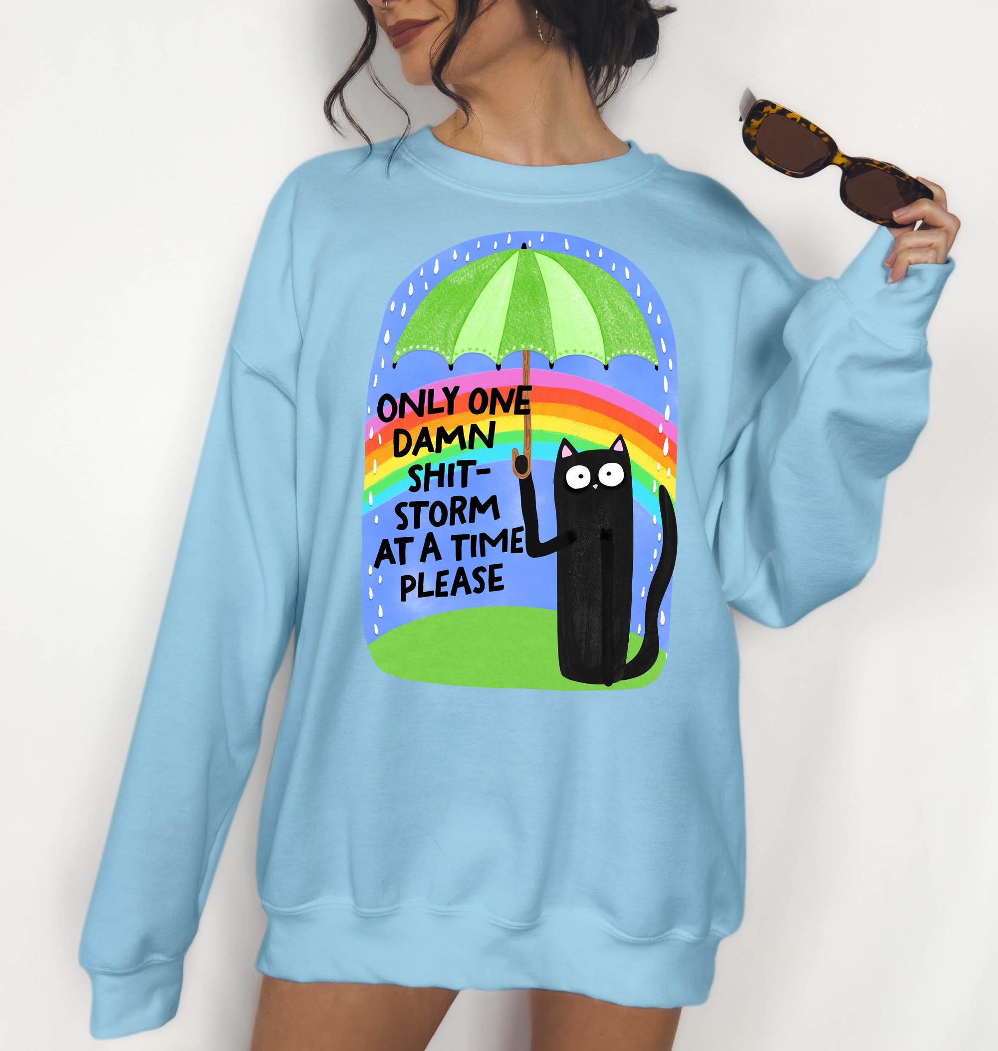 One Shit Storm at a Time Please - Crewneck Sweatshirt or Hoodie