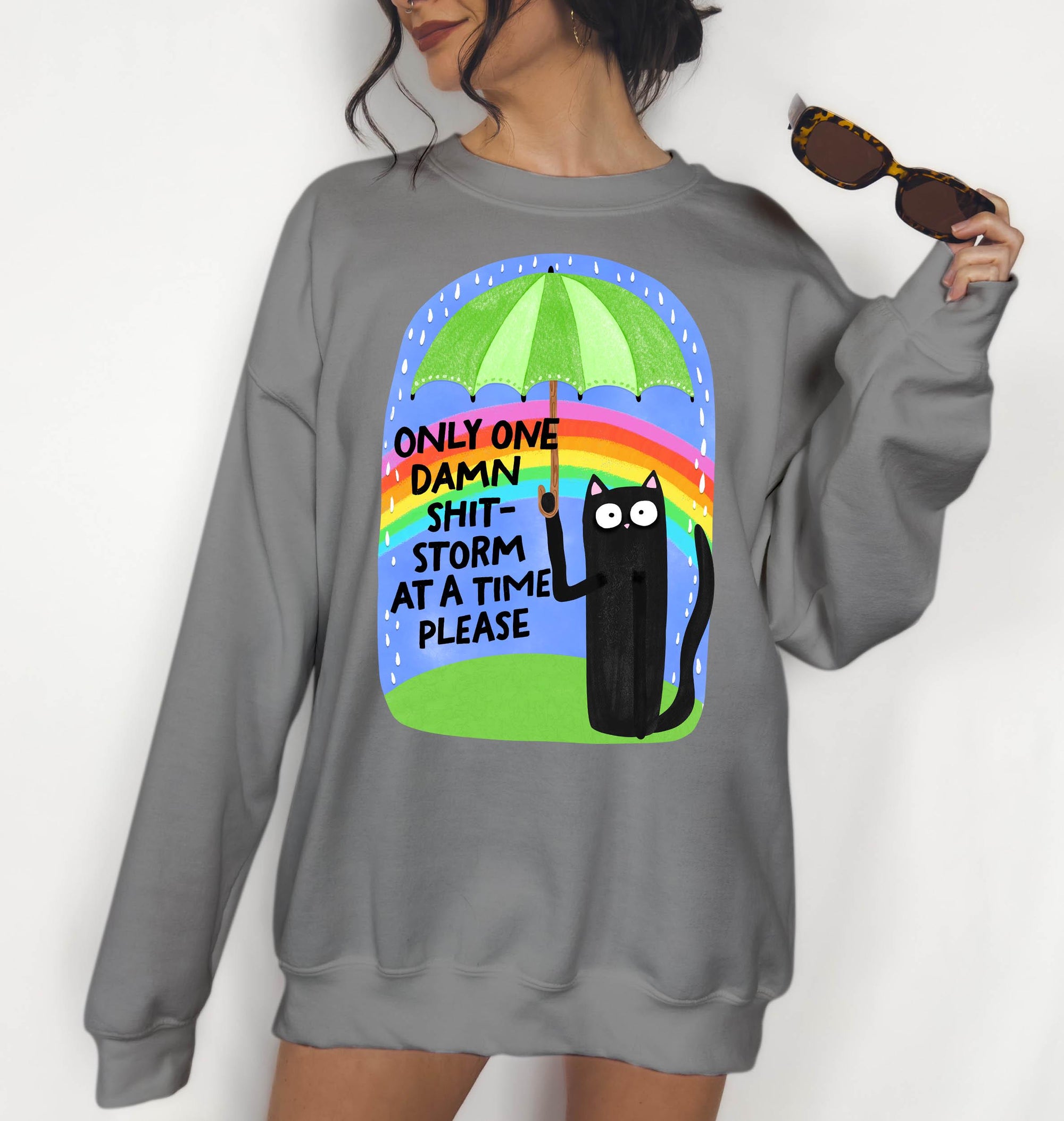 One Shit Storm at a Time Please - Crewneck Sweatshirt or Hoodie