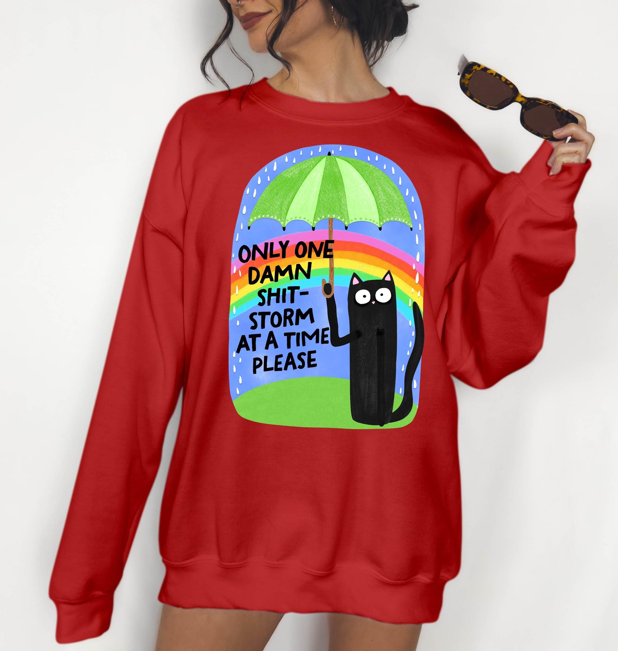 One Shit Storm at a Time Please - Crewneck Sweatshirt or Hoodie